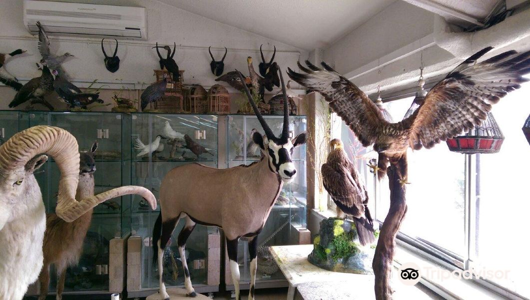 Darabad Museum of Natural History