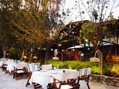 Orhaniye Incir Restaurant