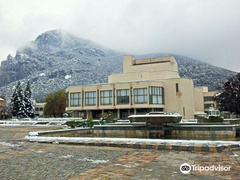 Vratsa Historical Museum
