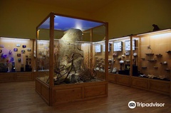 Regional Natural History Museum of Plovdiv